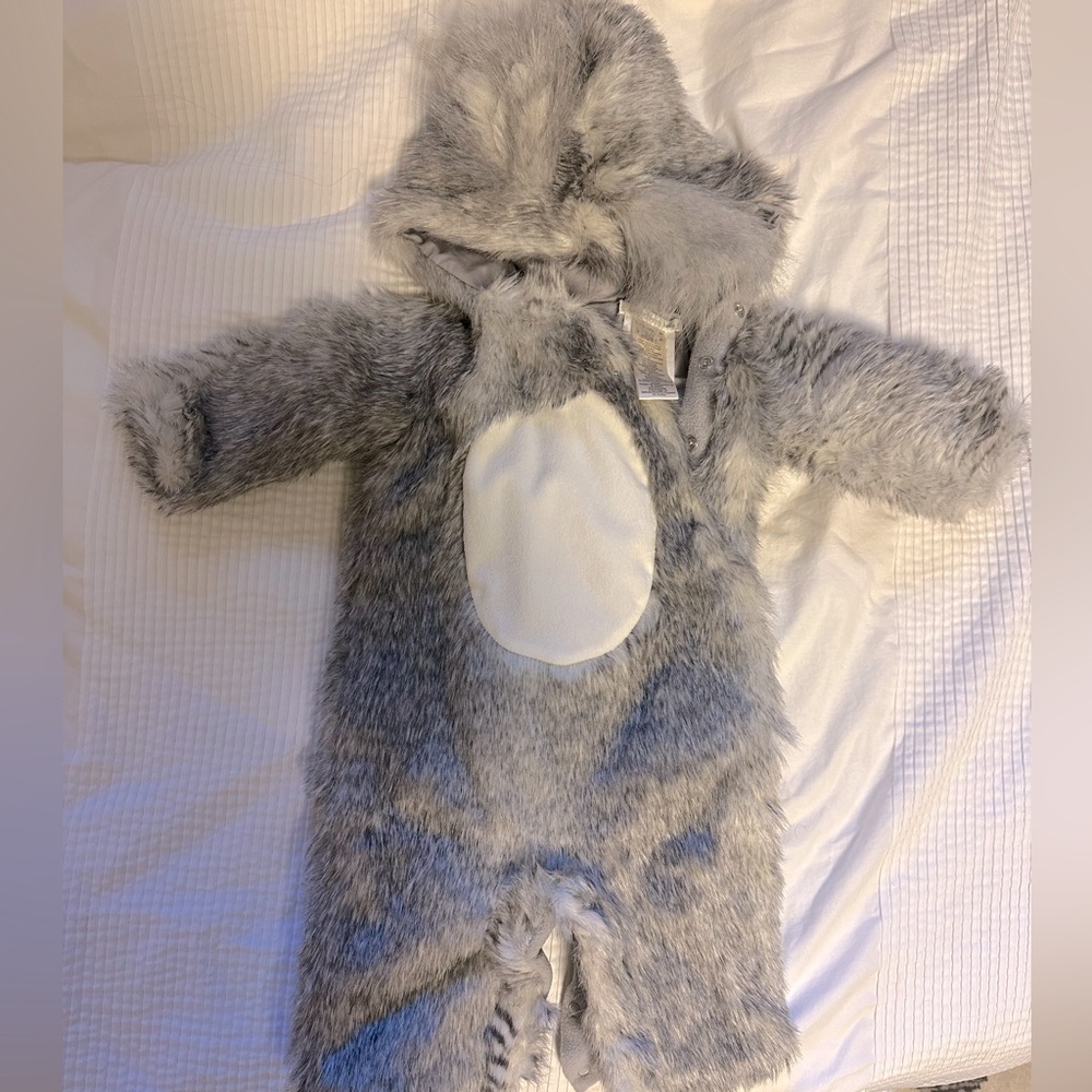 Adorable Pottery Barn baby squirrel costume 0-6 months
